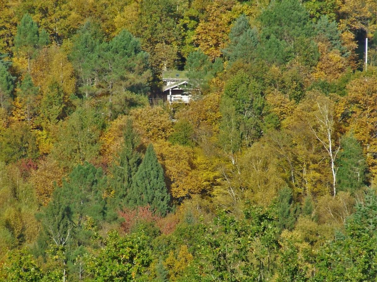 La Cabane De Hans Saint-Martial-de-Gimel エクステリア 写真