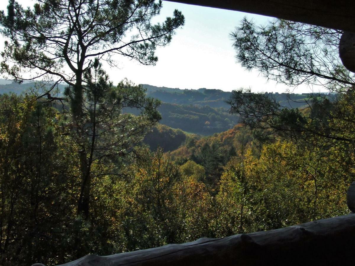 La Cabane De Hans Saint-Martial-de-Gimel エクステリア 写真